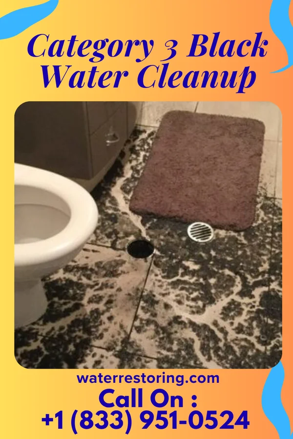 Category 3 Black Water Cleanup in Sharon Hill, PA