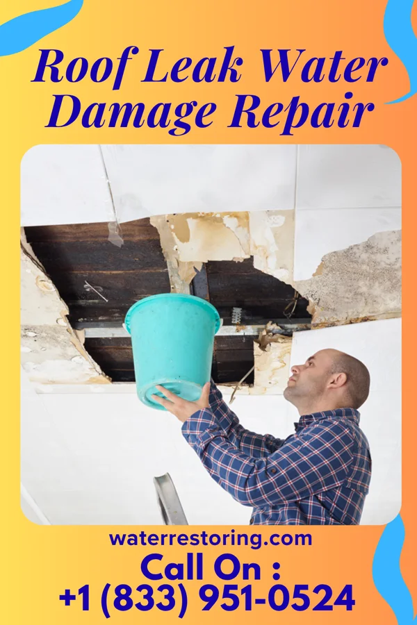 Roof Leak Water Damage Repair in Sharon Hill, PA