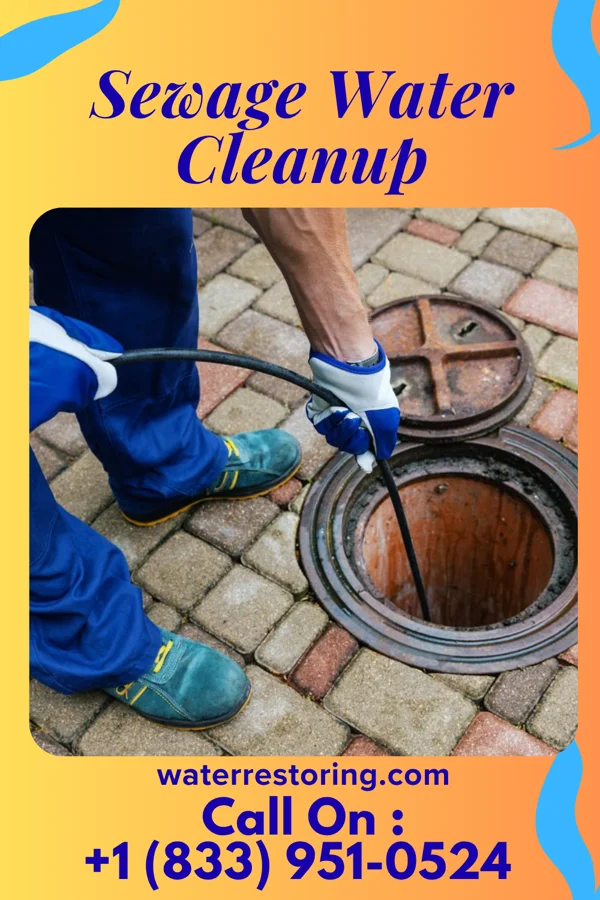 Sewage Water Cleanup in Sharon Hill, PA