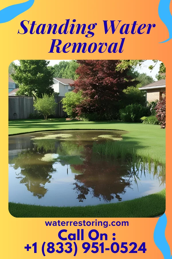 Standing Water Removal in Sharon Hill, PA